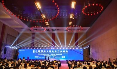 第二届国际火锅食品产业峰会在重庆举行
